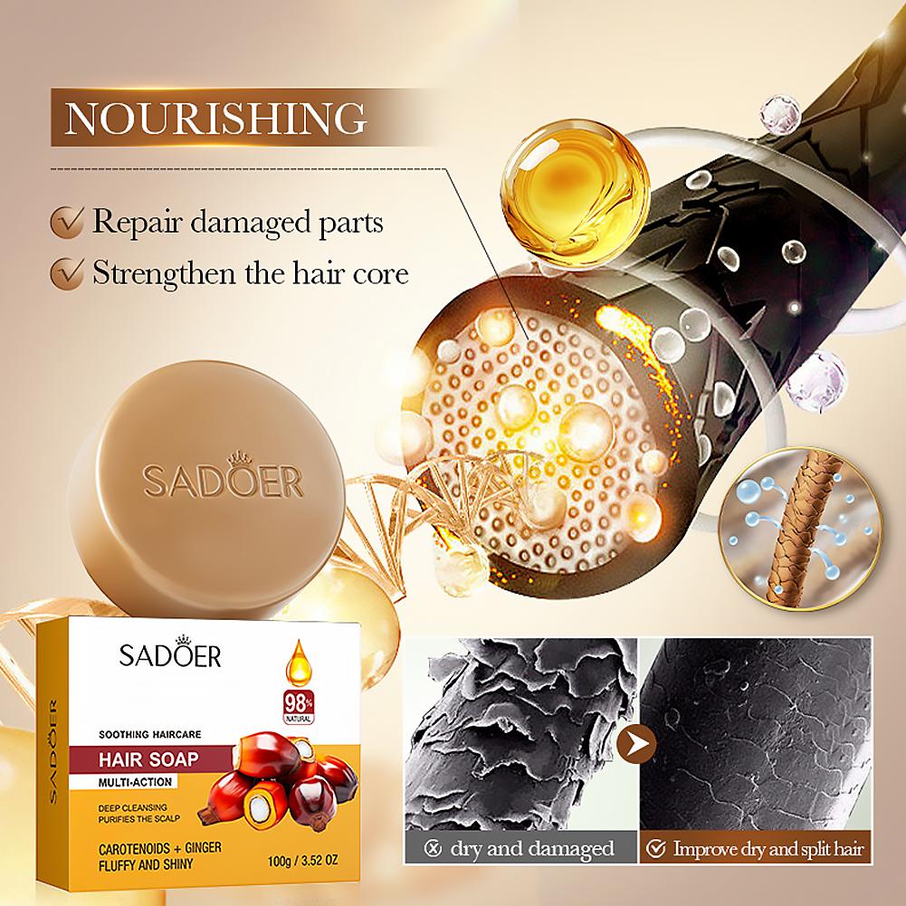 Sabun Sampo Jahe Alami untuk R - Hair Care Elseve ulasan dan harga