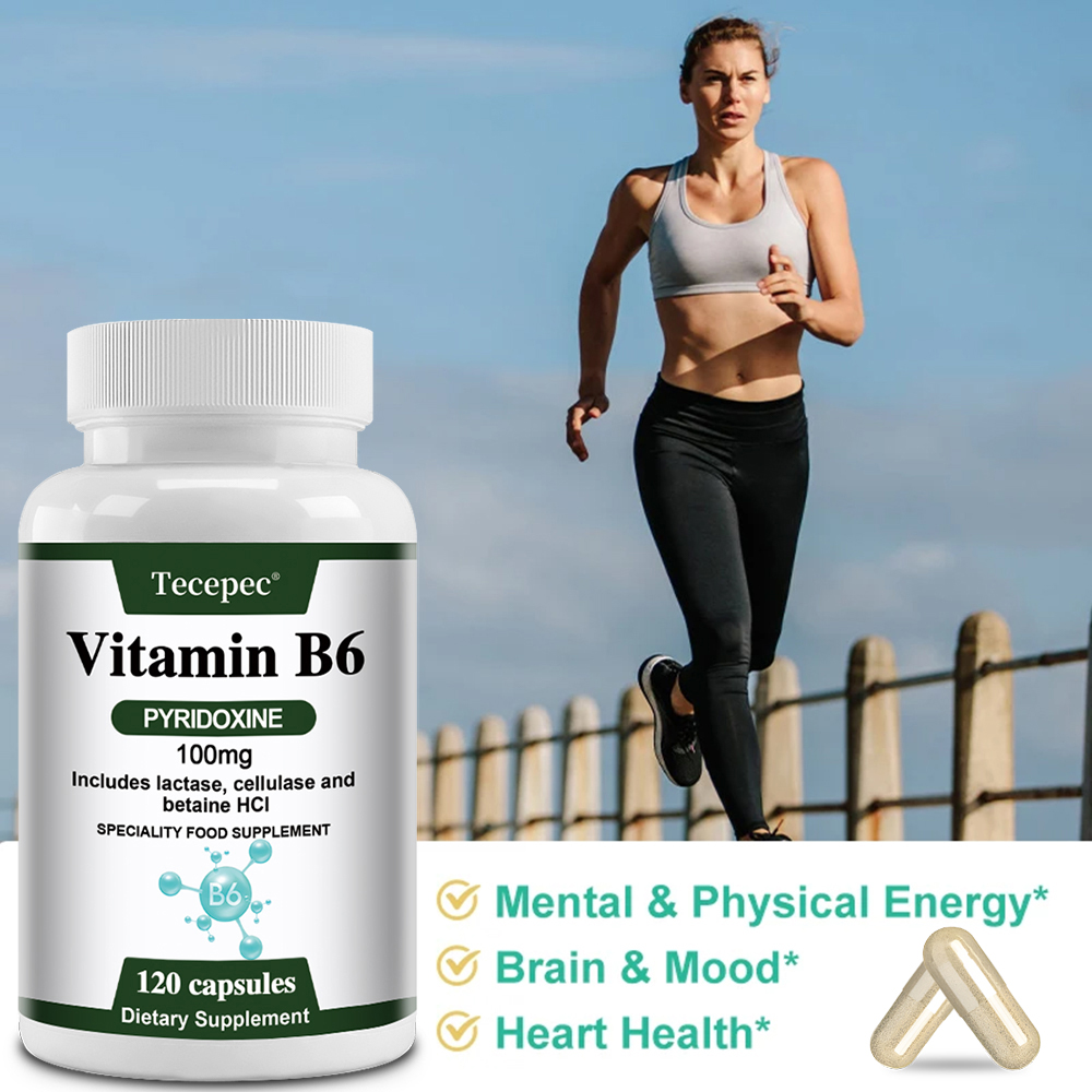 Kapsul Vitamin B6, Suplemen Vi - Hair Care Capsule ulasan dan harga
