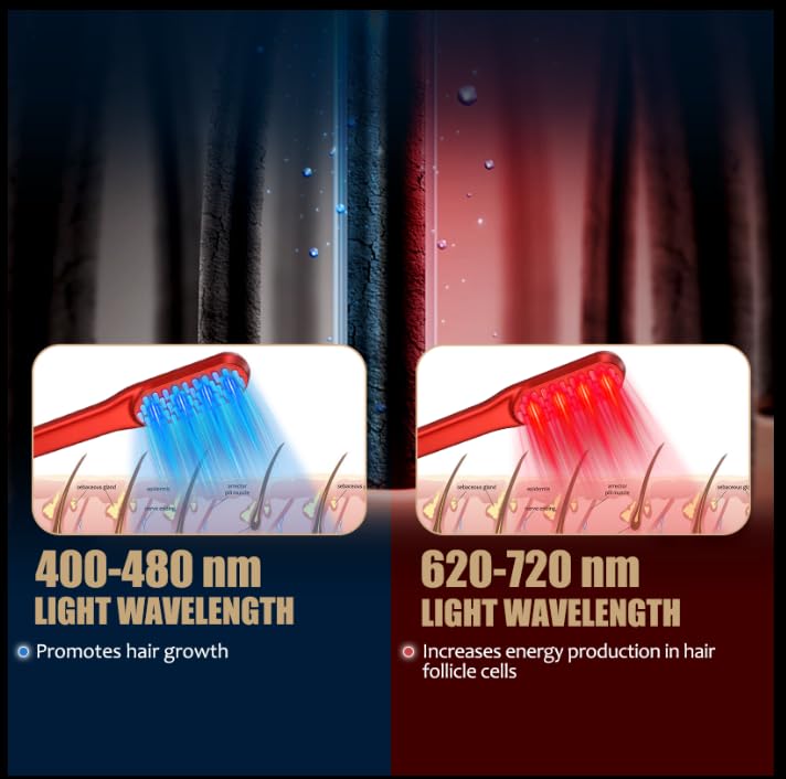 Sisir Penumbuh Rambut Laser, P - Hair Care Elseve ulasan dan harga