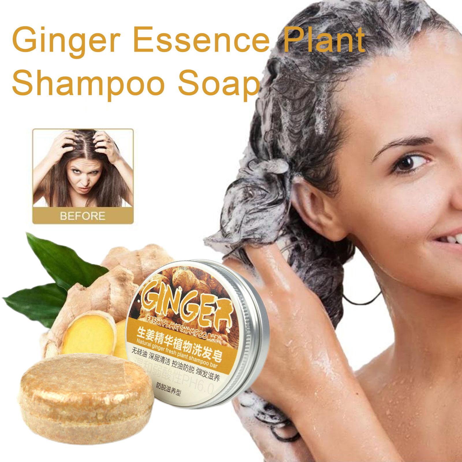 Sampo sabun jahe poligonum, sa - Hair Care Elseve ulasan dan harga
